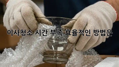 이사청소, 시간 부족? 효율적인 방법은?
